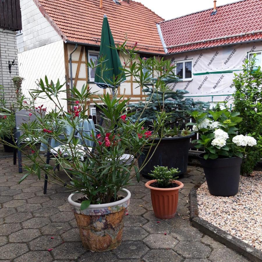 Ferienwohnung Am Berge Wolfshagen  ภายนอก รูปภาพ