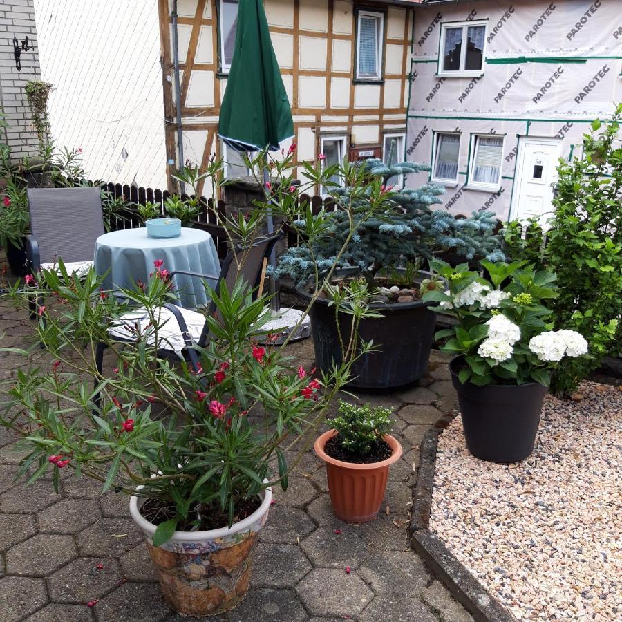 Ferienwohnung Am Berge Wolfshagen  ภายนอก รูปภาพ
